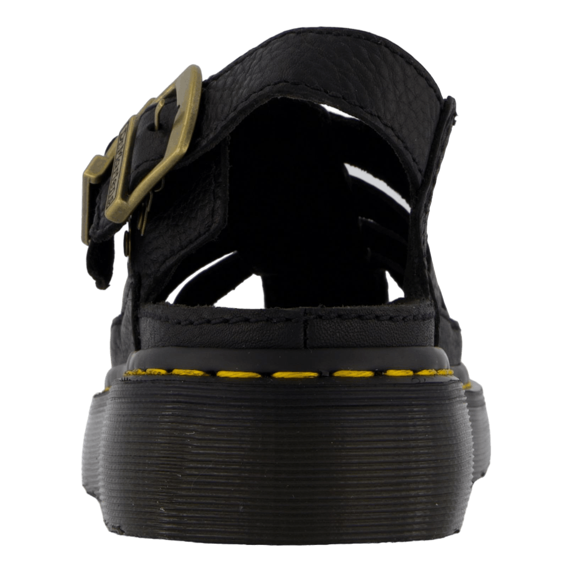 Wrenlie Black Grizzly