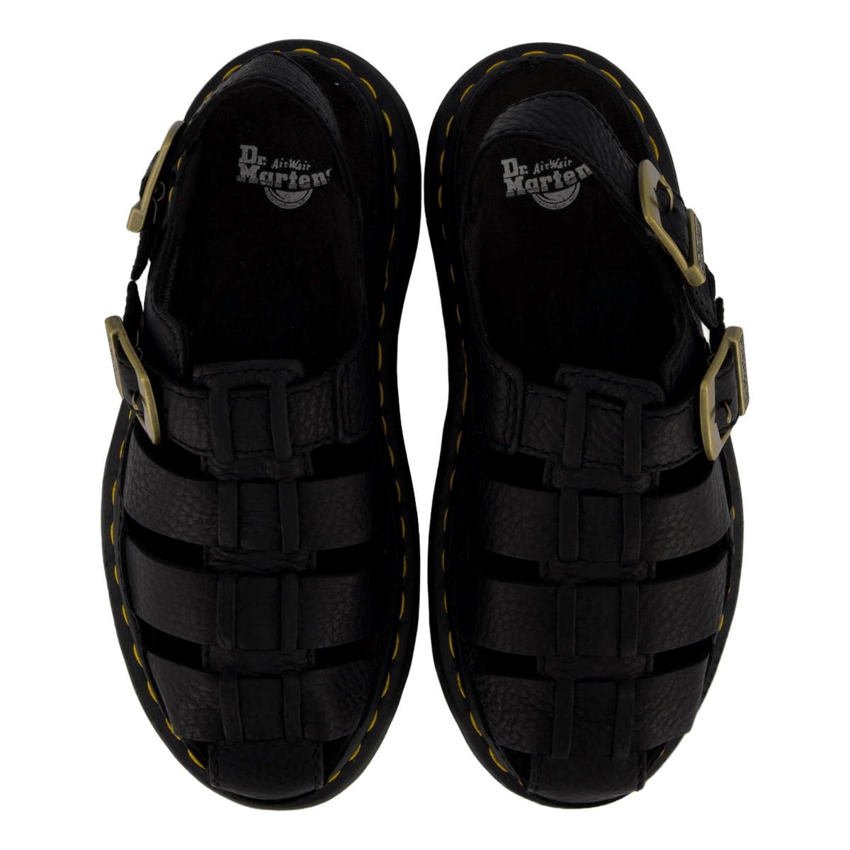 Wrenlie Black Grizzly