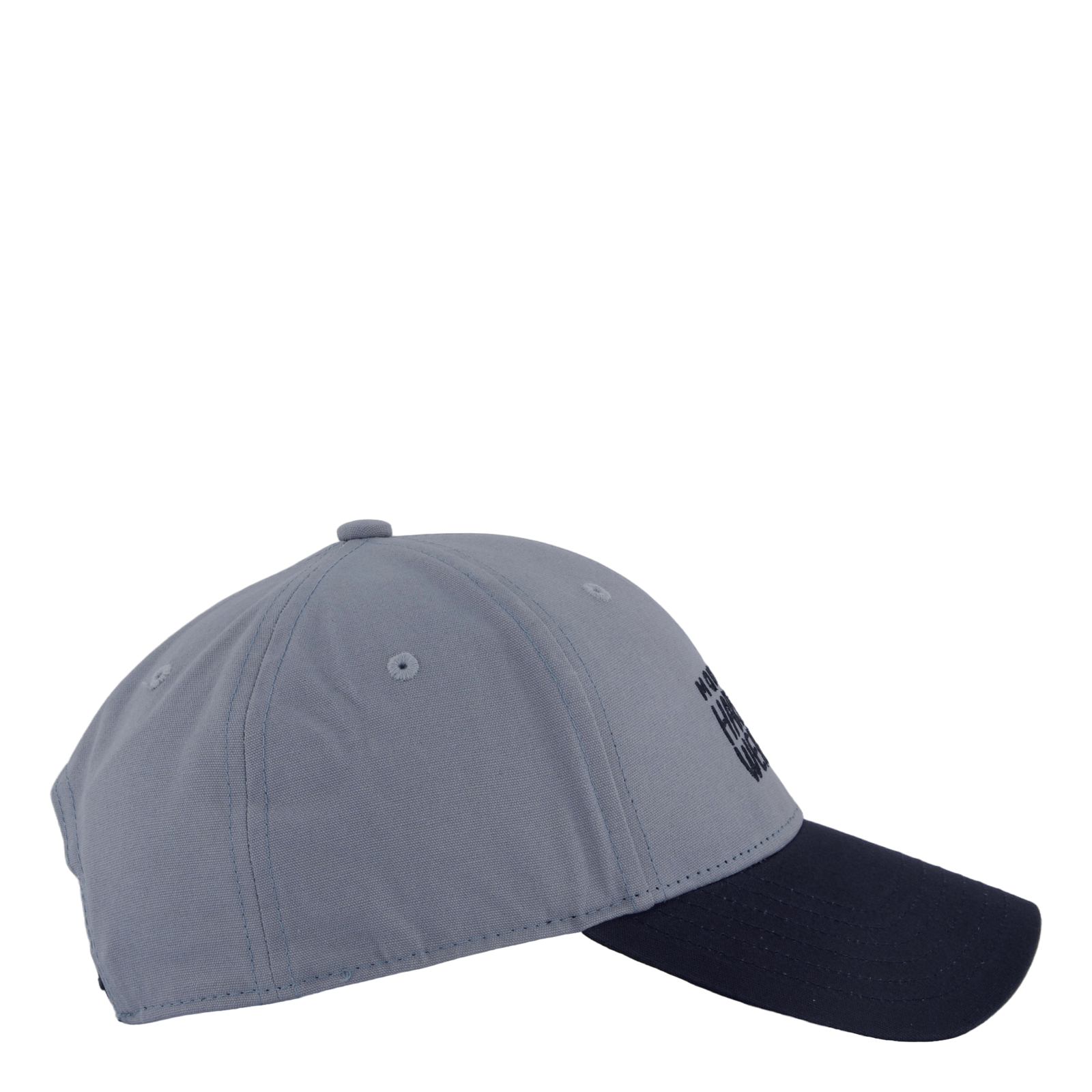 Mhw Logo Cap Light Zinc