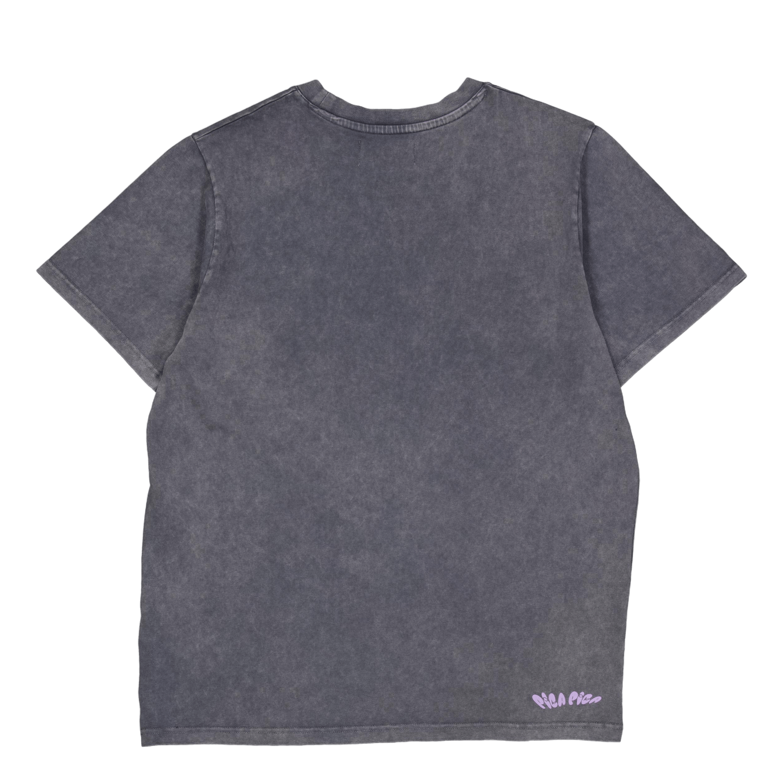 Pica Goes Skiing T-shirt Washed Black