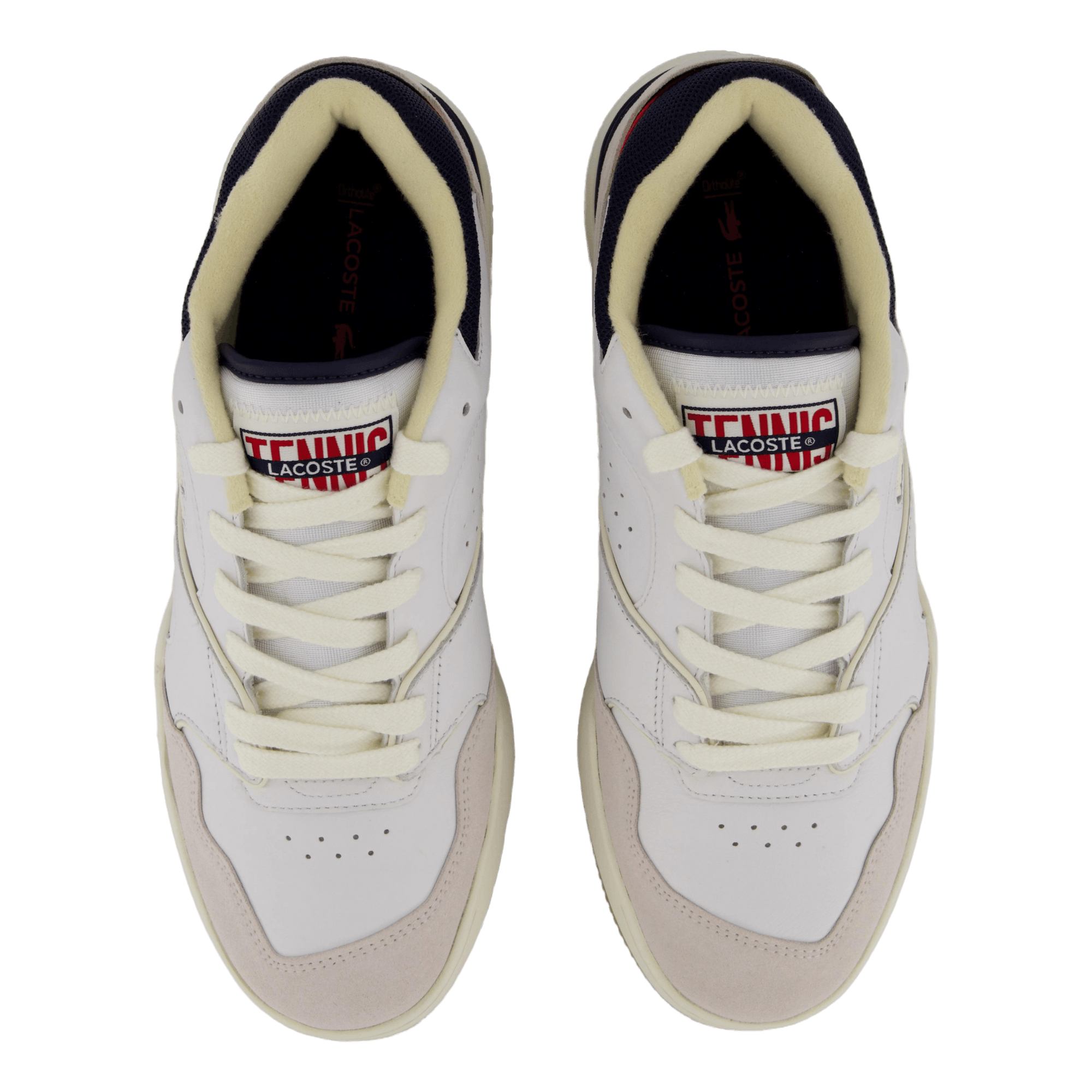 Lineshot Leather Sneakers 40f Off Wht/gum