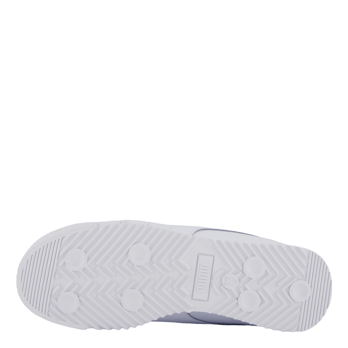 Roma 24 Standard White