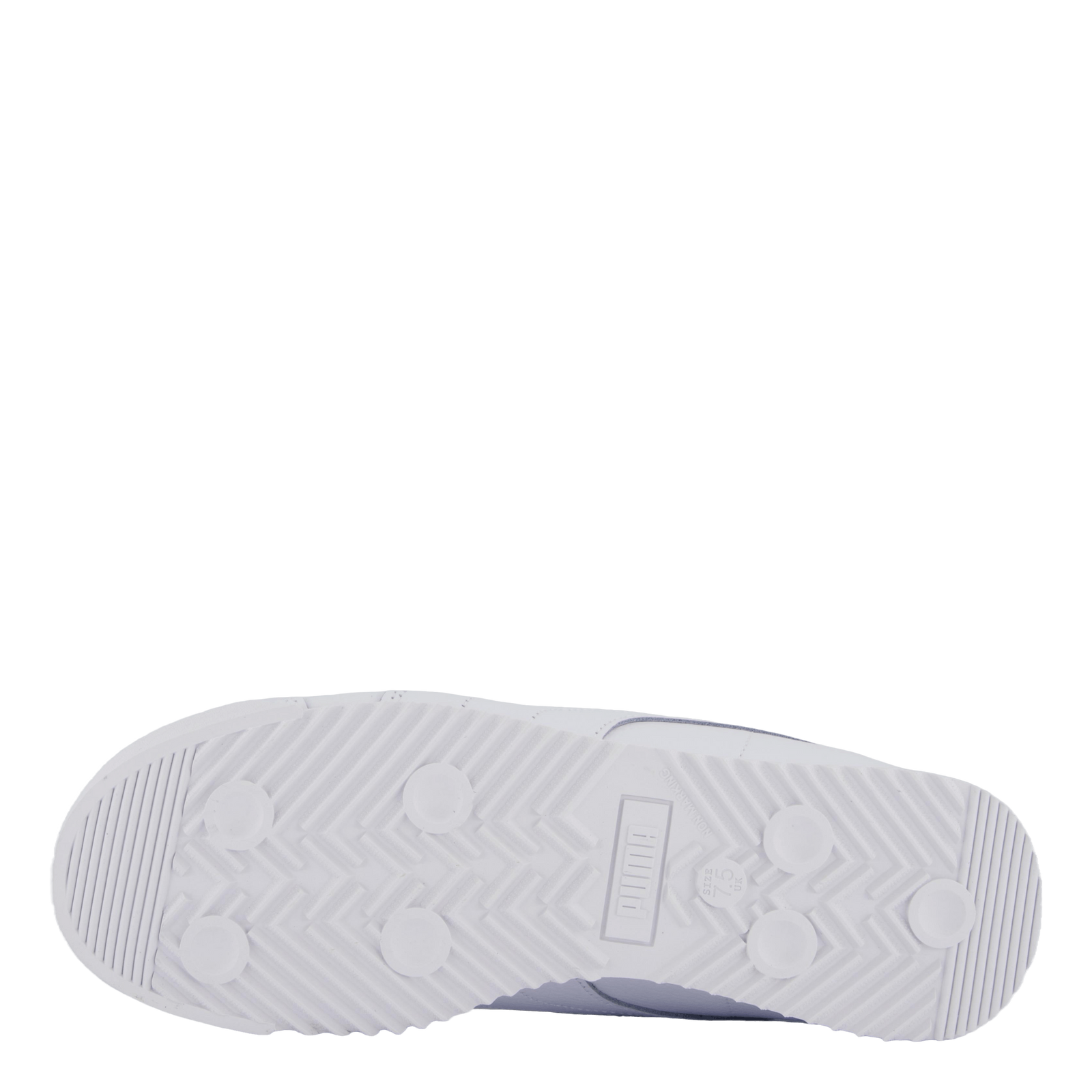 Roma 24 Standard White