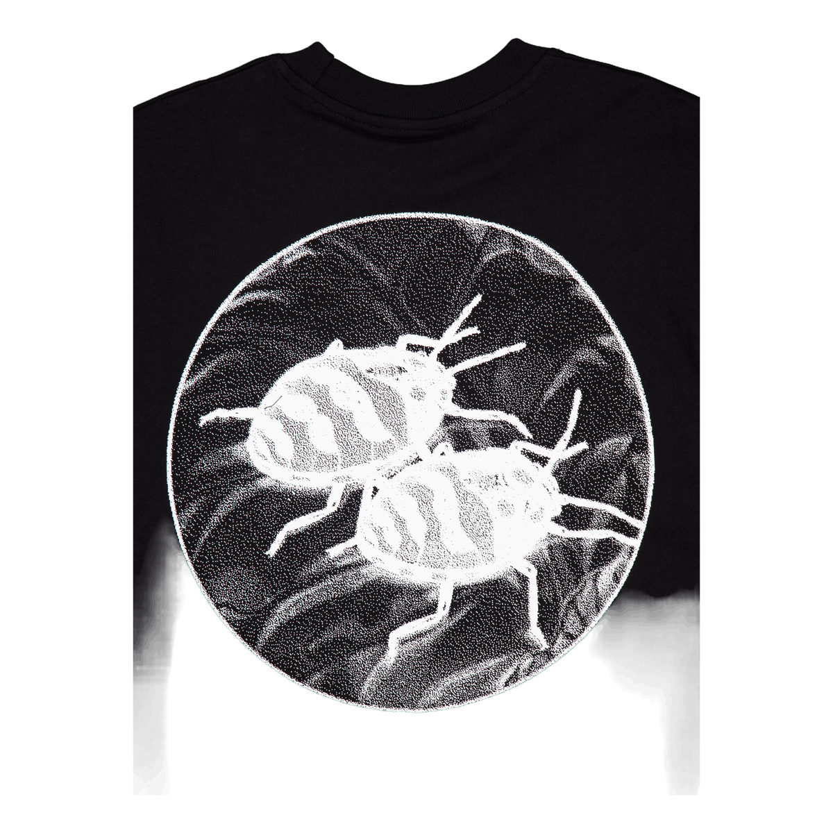 Nature Study Tee Black