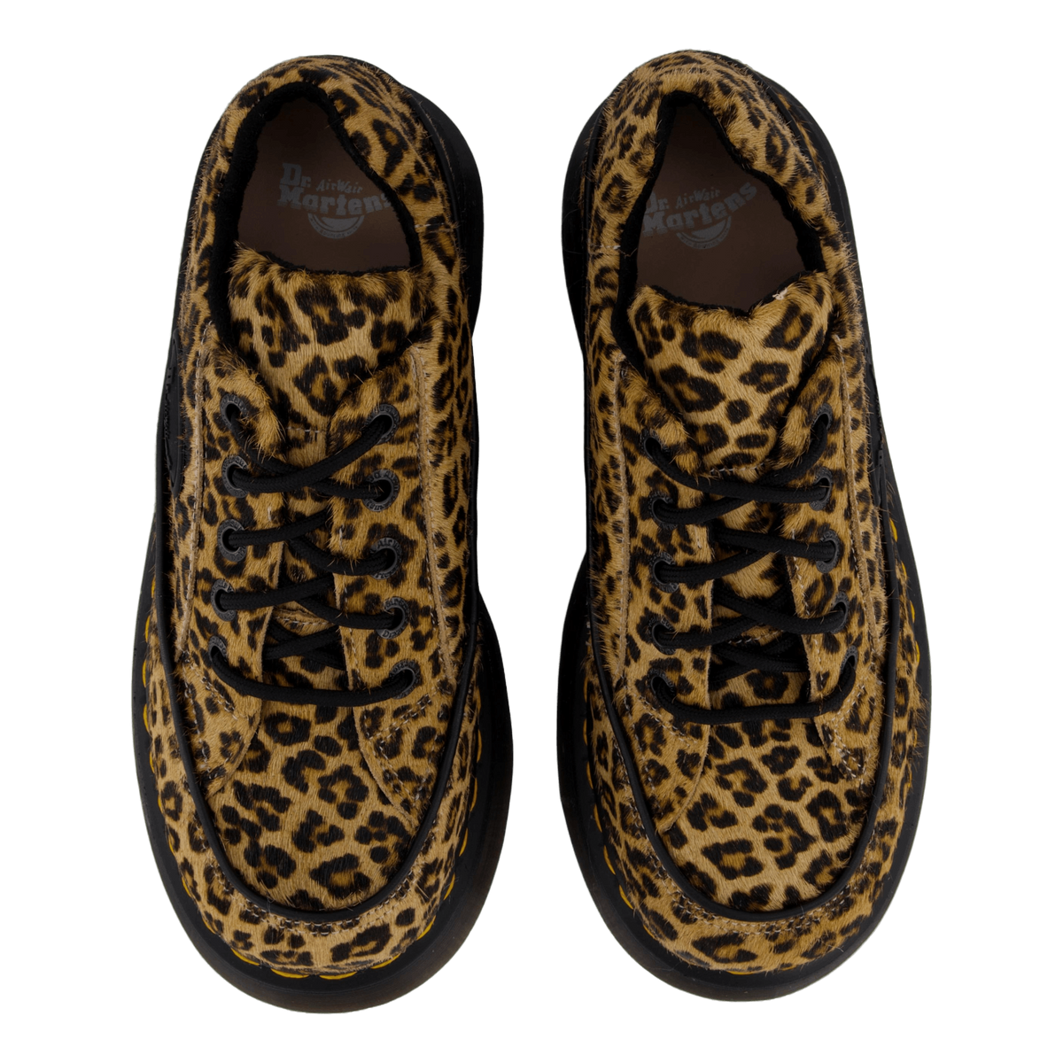 Buzz 5i  Mini Leopard Spot Hai Light Tan