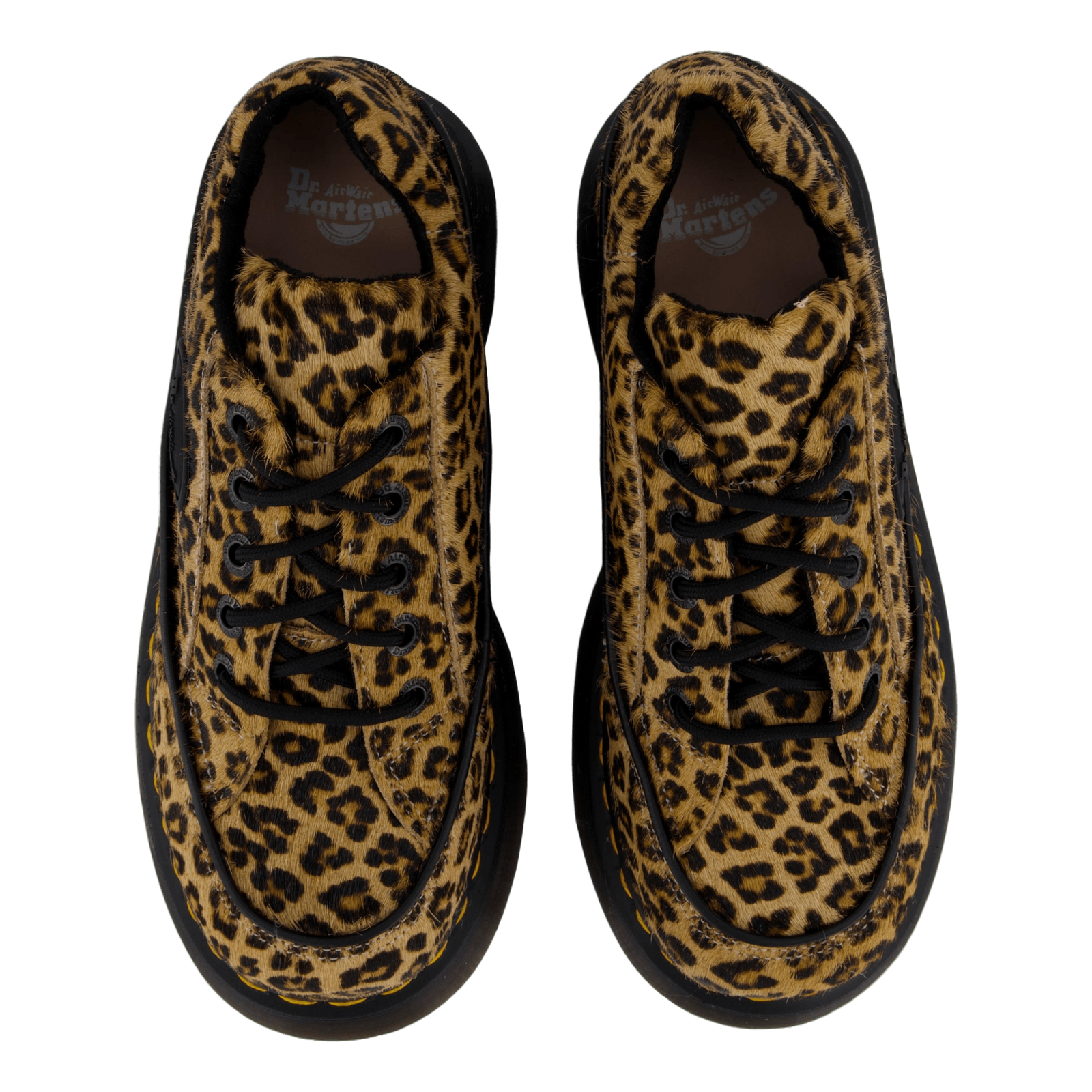 Buzz 5i  Mini Leopard Spot Hai Light Tan