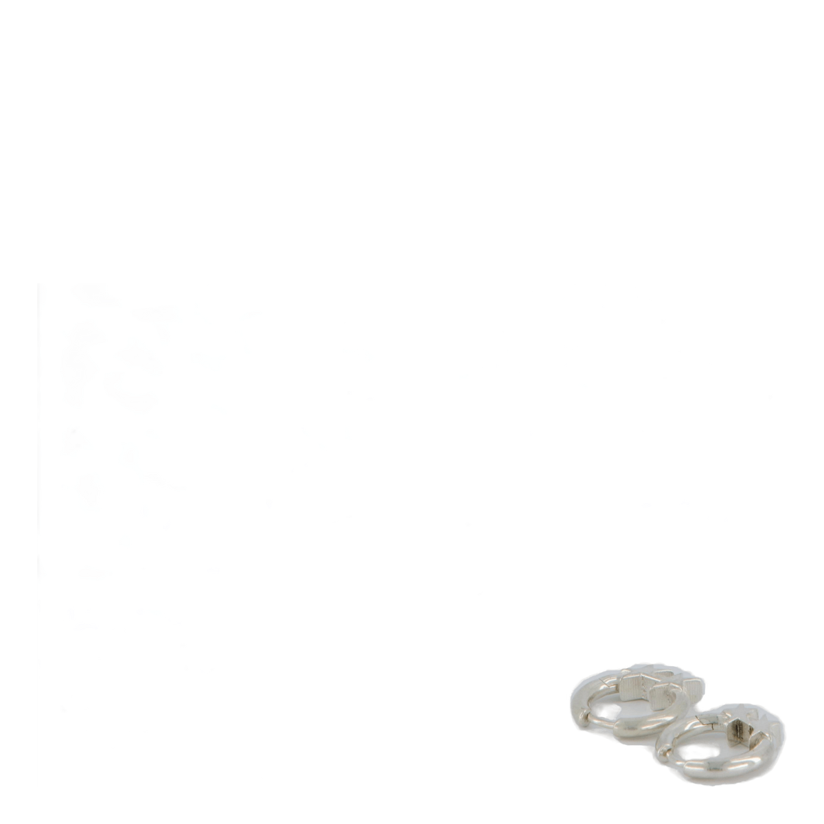 Tj Icon Earrings Silver