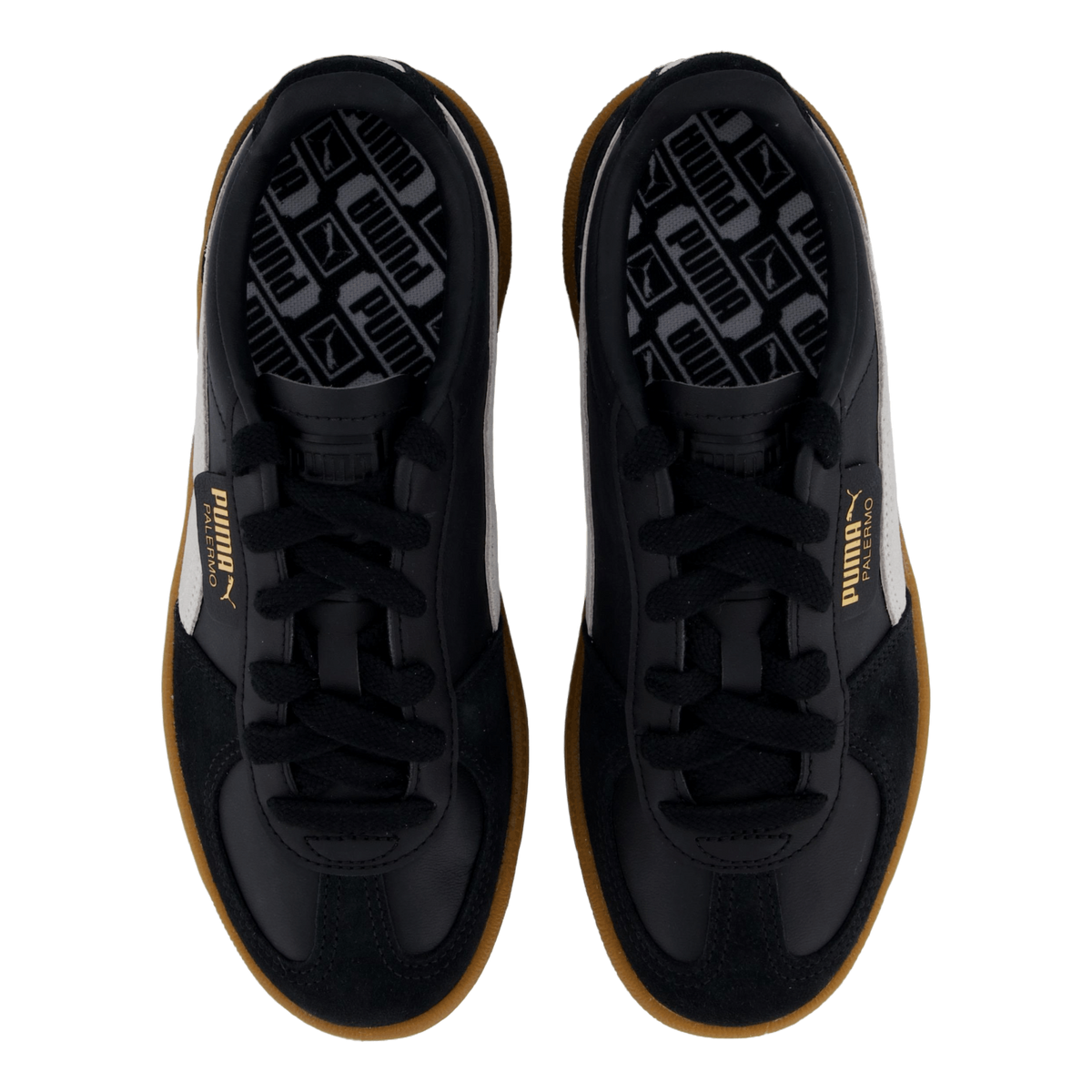 Palermo Black-feather Gray-gum