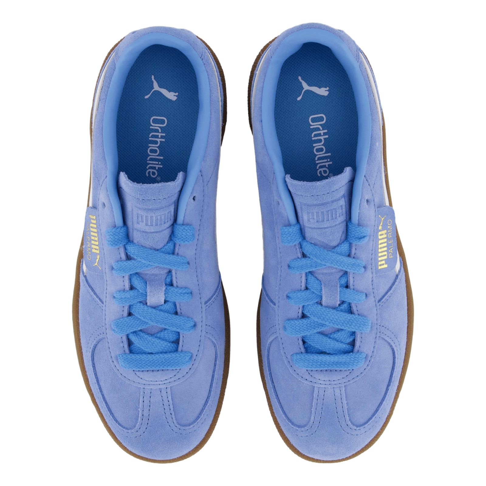 Palermo Team Light Blue- White