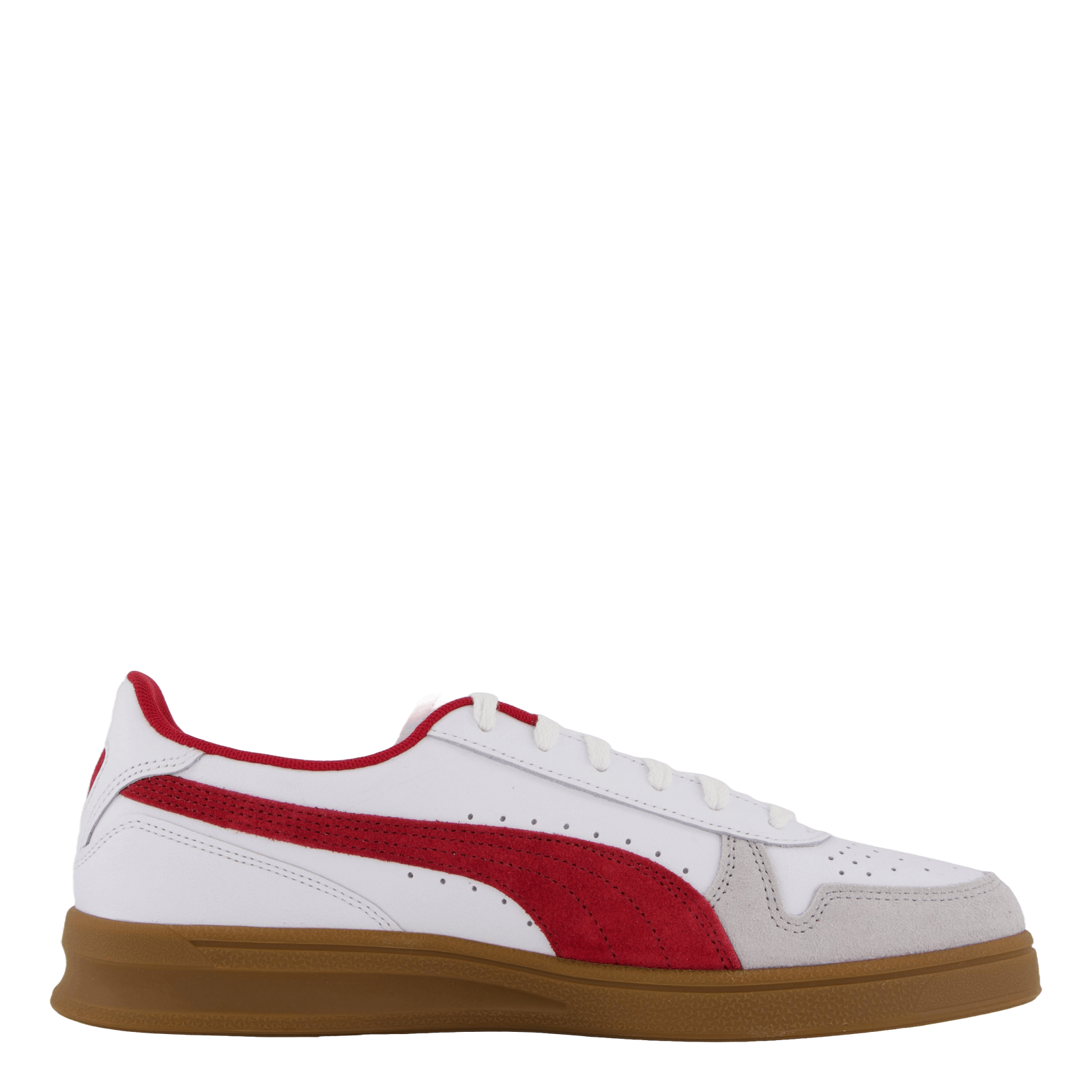 Indoor White-dark Myrtle-gum