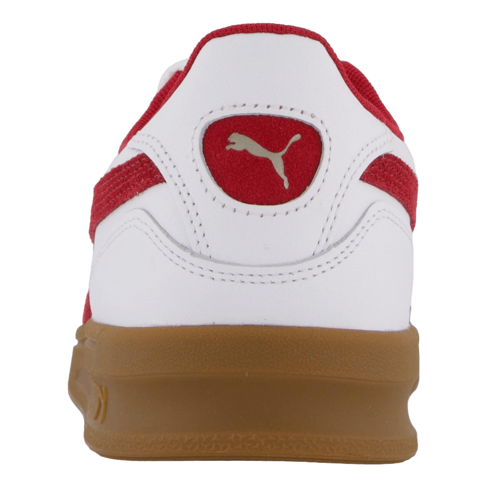 Indoor White-dark Myrtle-gum