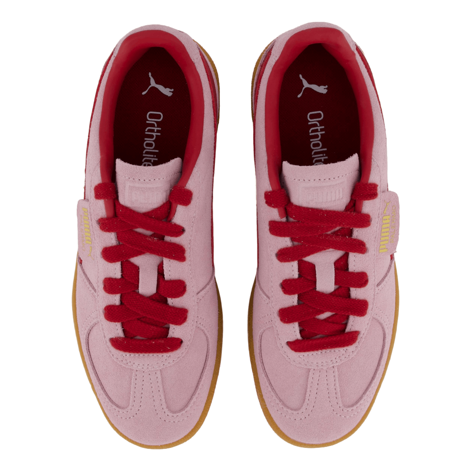 Palermo Rose Mauve-dark Crimson