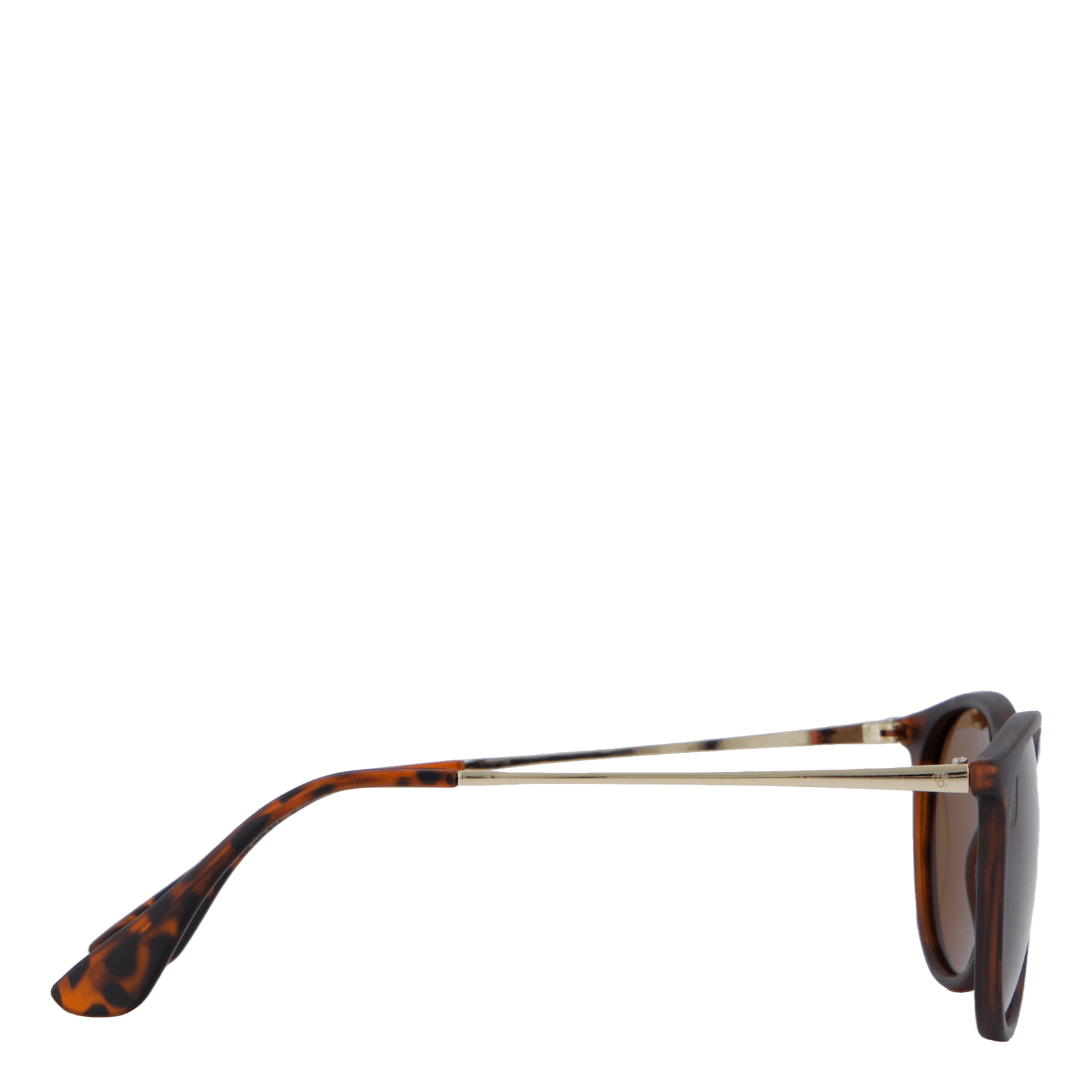 Roma Turtle Brown / Brown