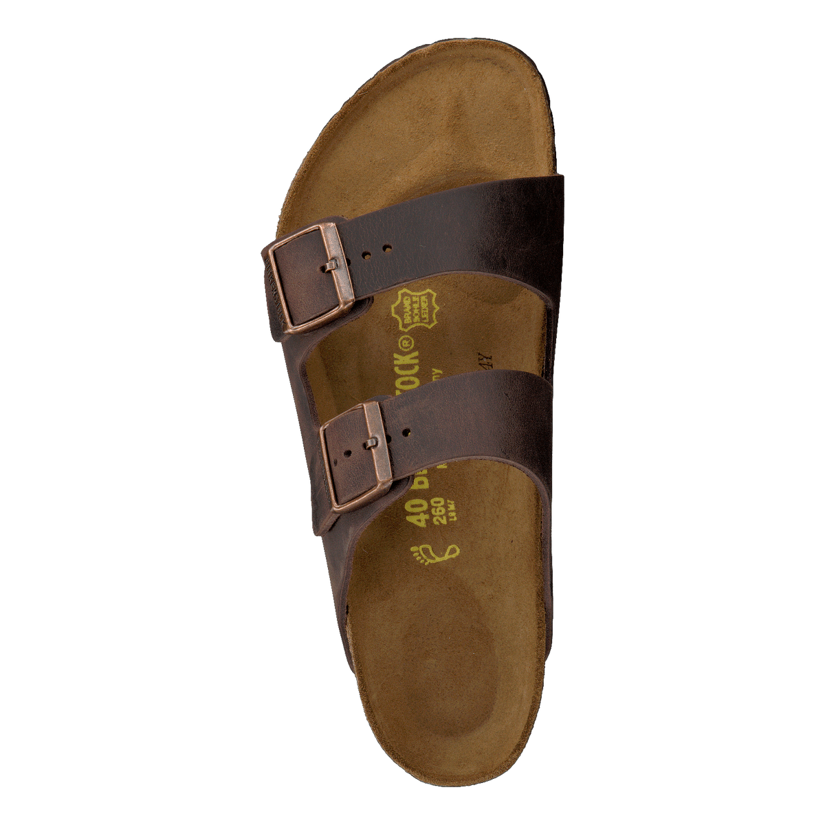 Arizona habana regular 2024 brown