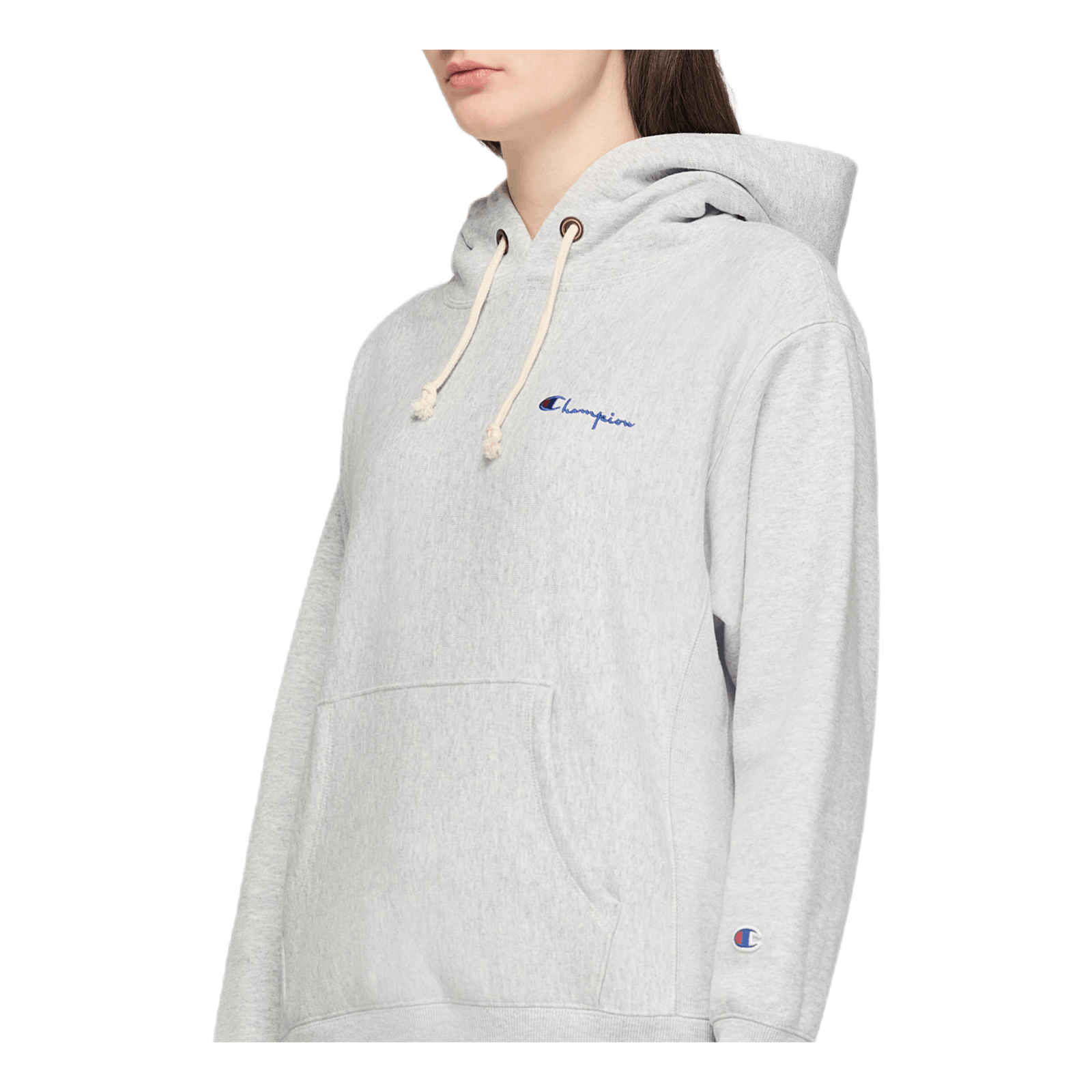 Small Script Hooded Sweatshirt Gray