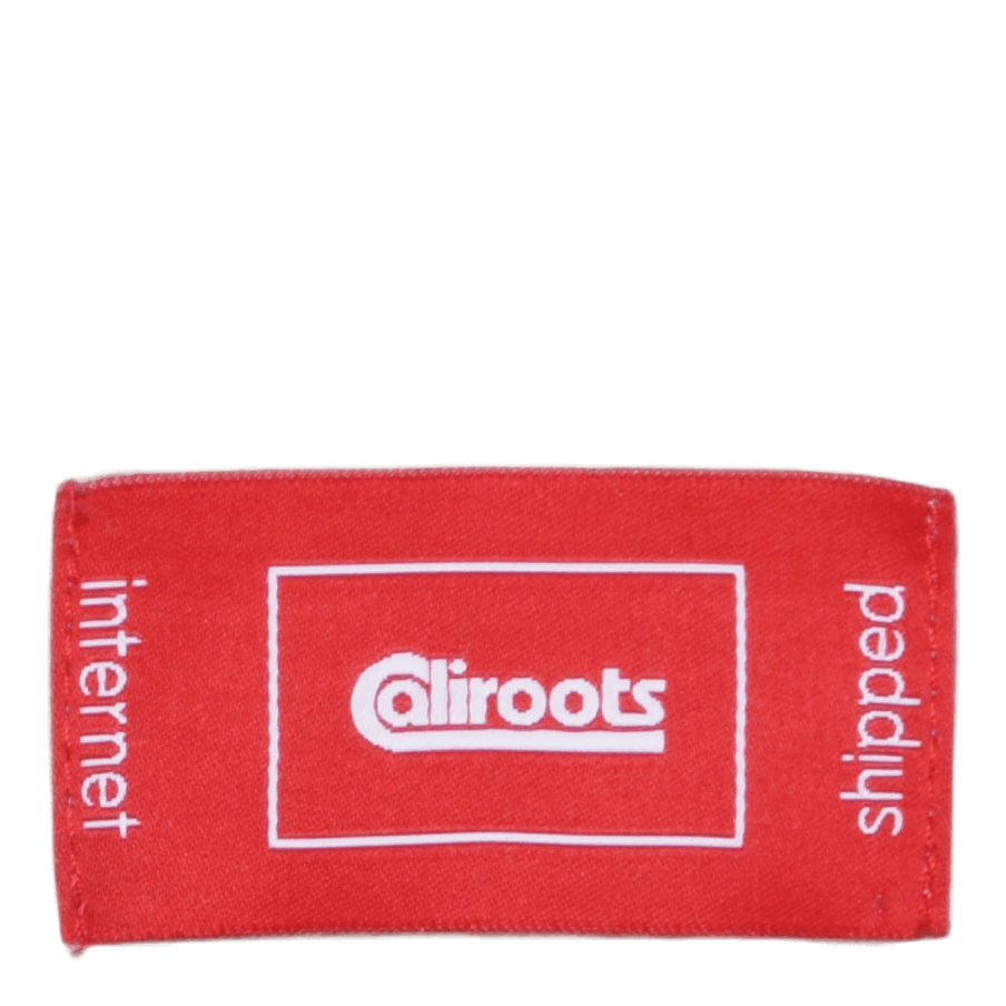 Felt Logo Zip Hoodie Gray