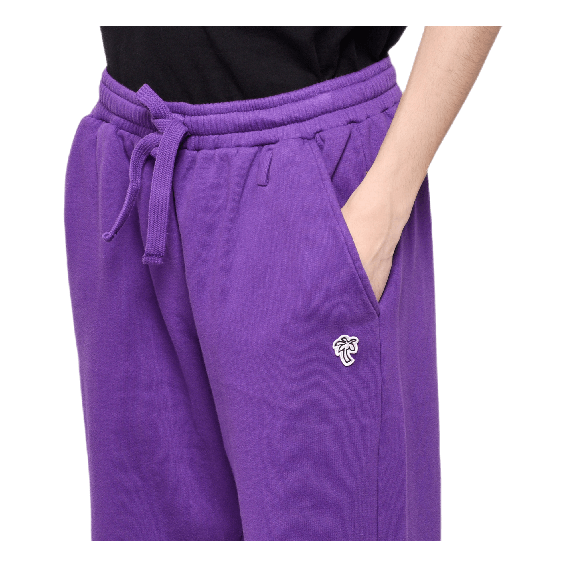 Sweatpants Purple