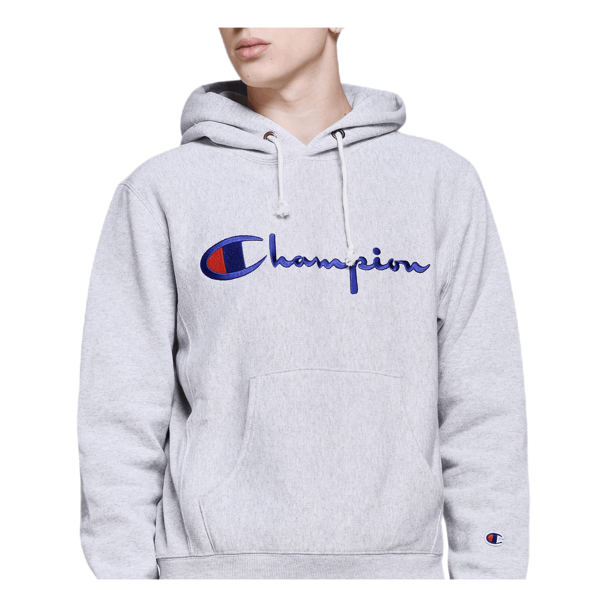 Hooded Sweatshirt Gray