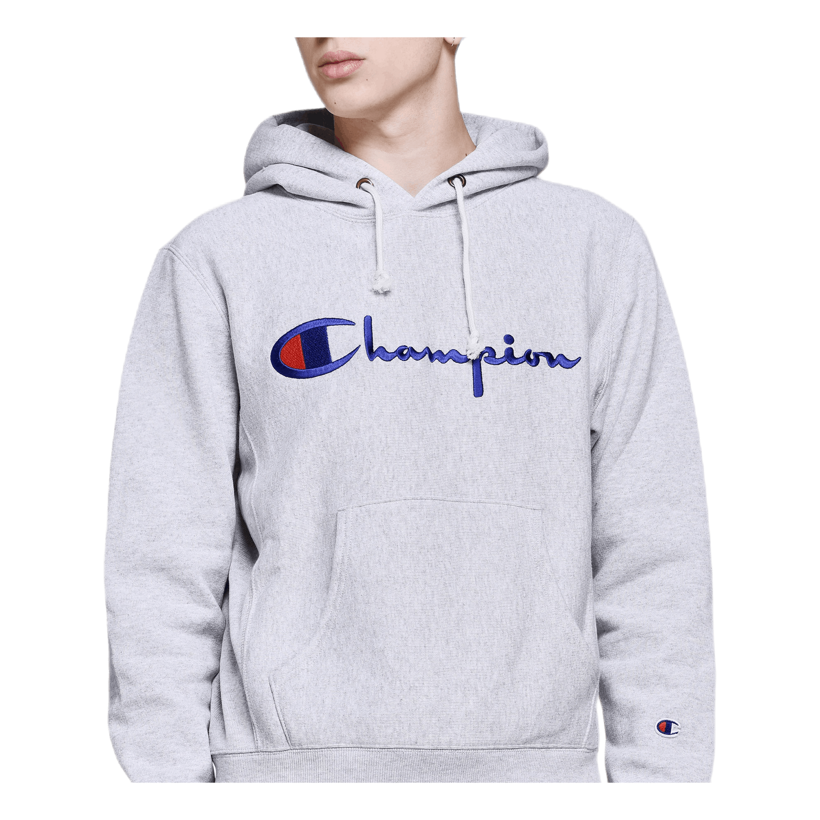 Hooded Sweatshirt Gray