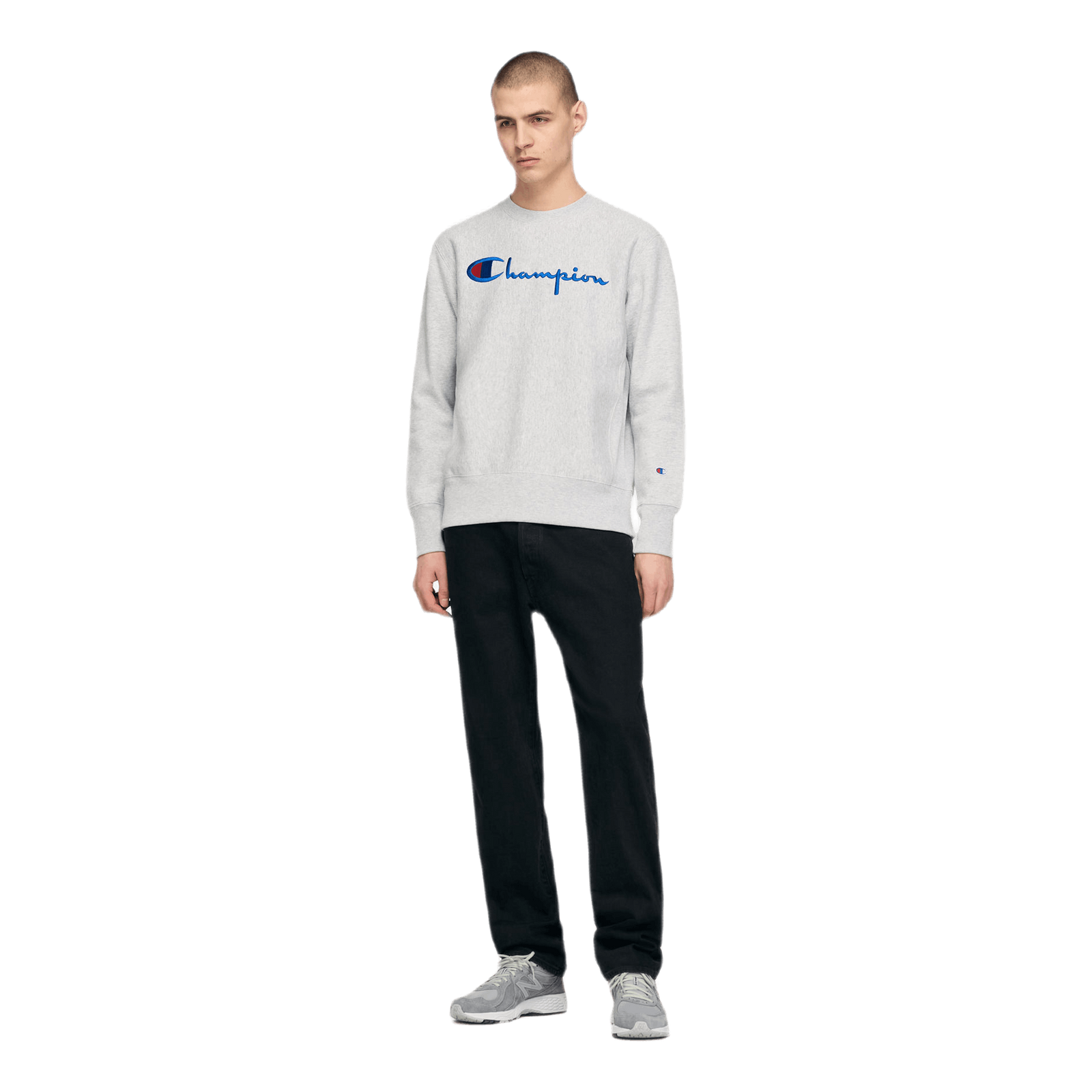 Reverse Weave Crewneck Gray