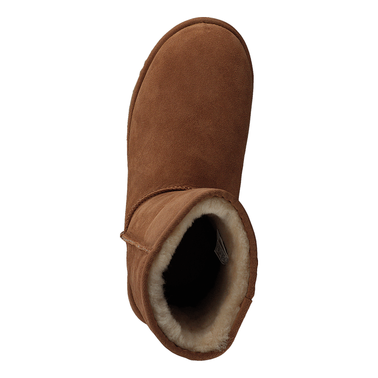 Classic Short II Chestnut
