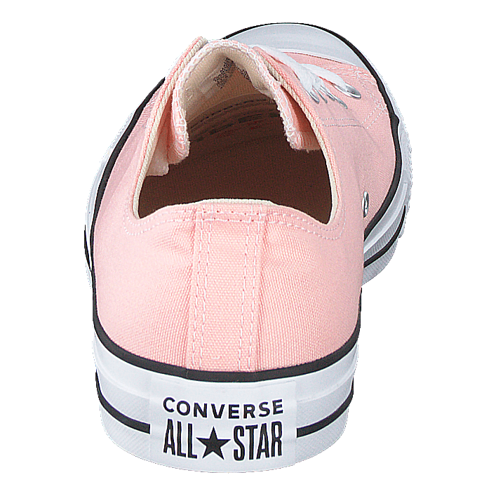 Chuck Taylor All Star Ox Storm Pink