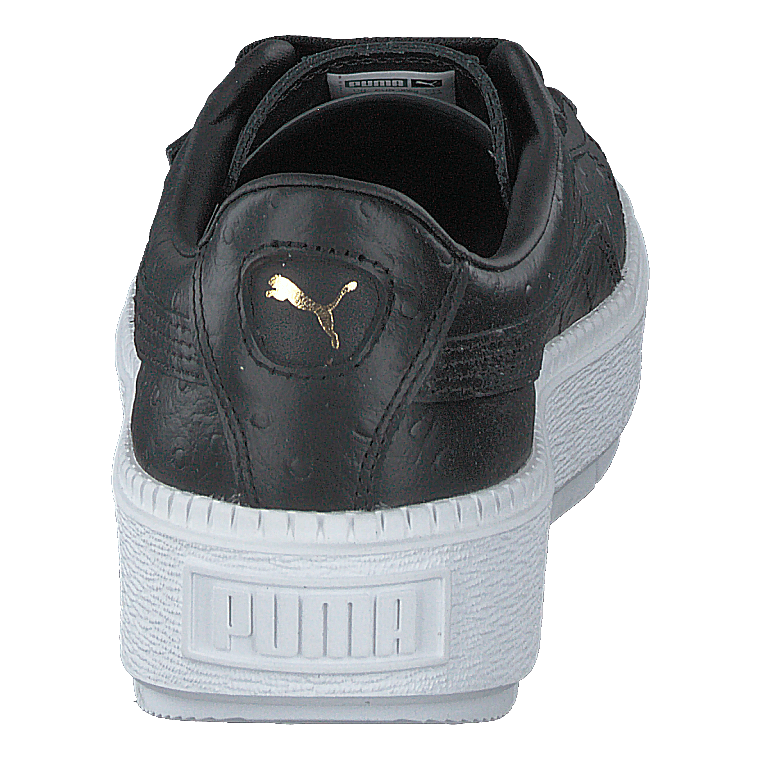 Puma platform trace 2024 ostrich