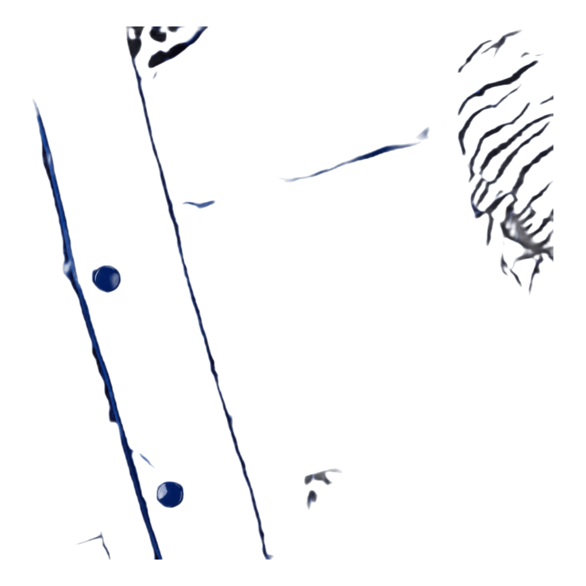 Down Jacket Royal Blue