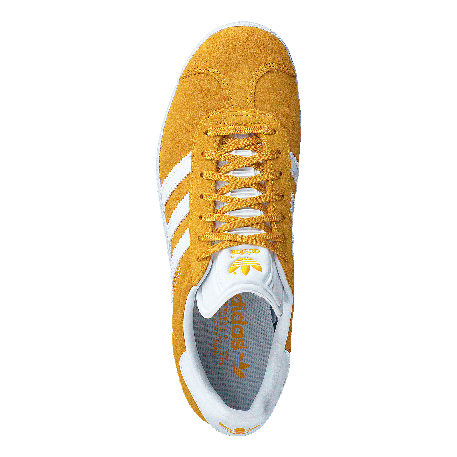 Gazelle Crew Yellow / Cloud White / Cloud White
