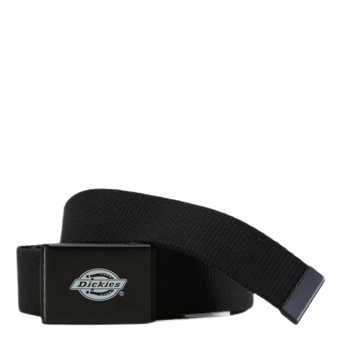 Orcutt  Webbing Belt Black