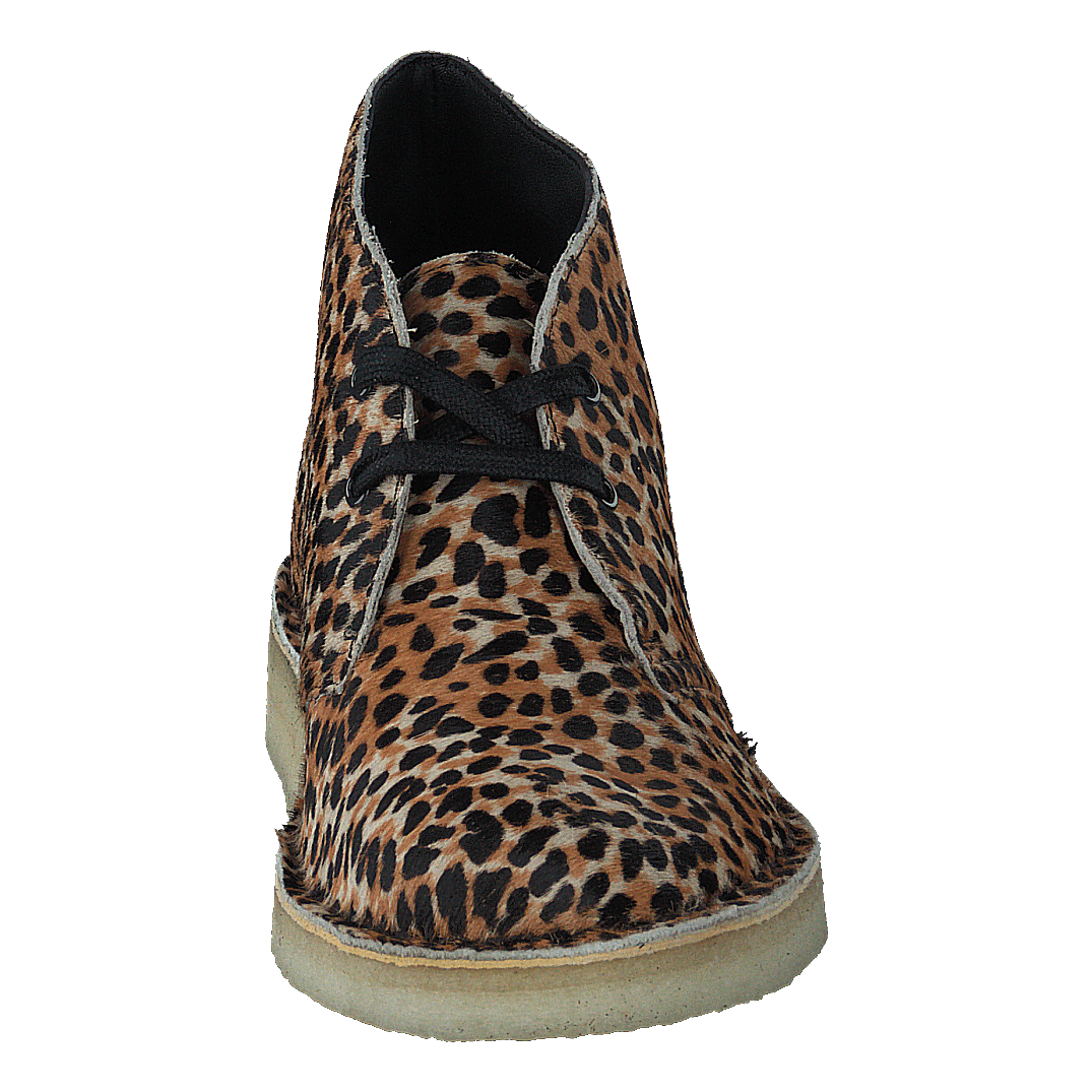 Leopard clarks 2025