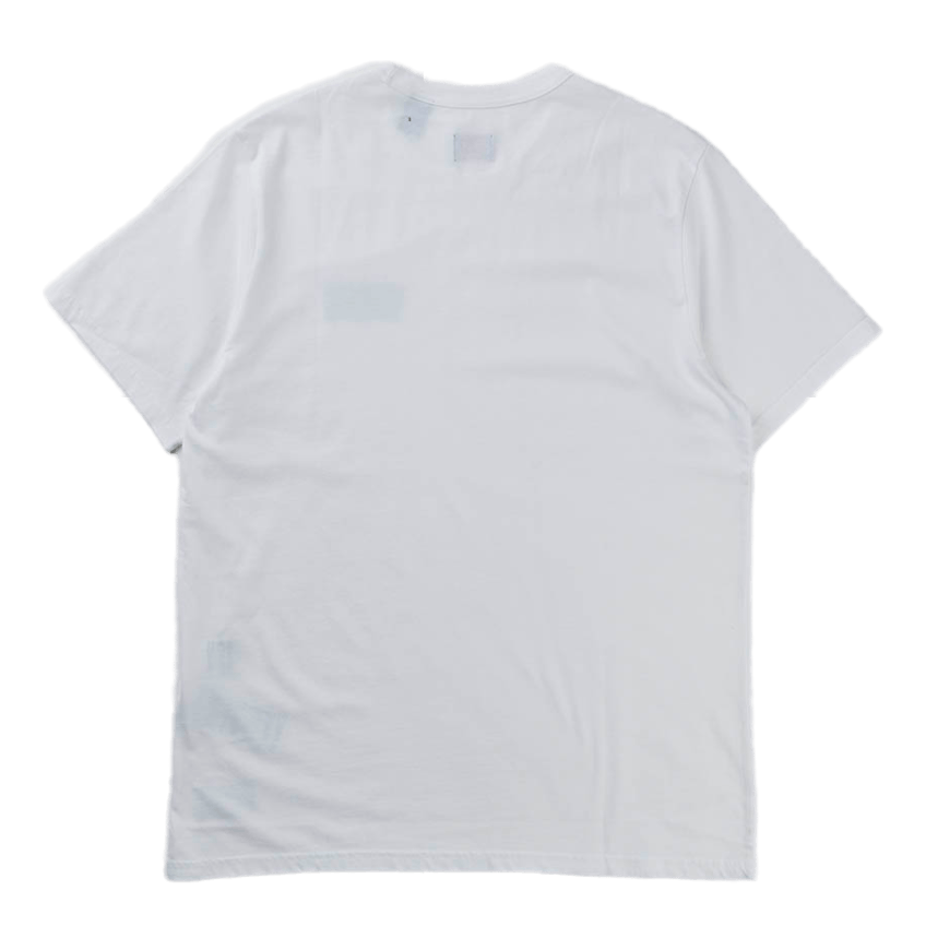 Skate Graphic Ss Tee Lsc White Lsc White Core Ba