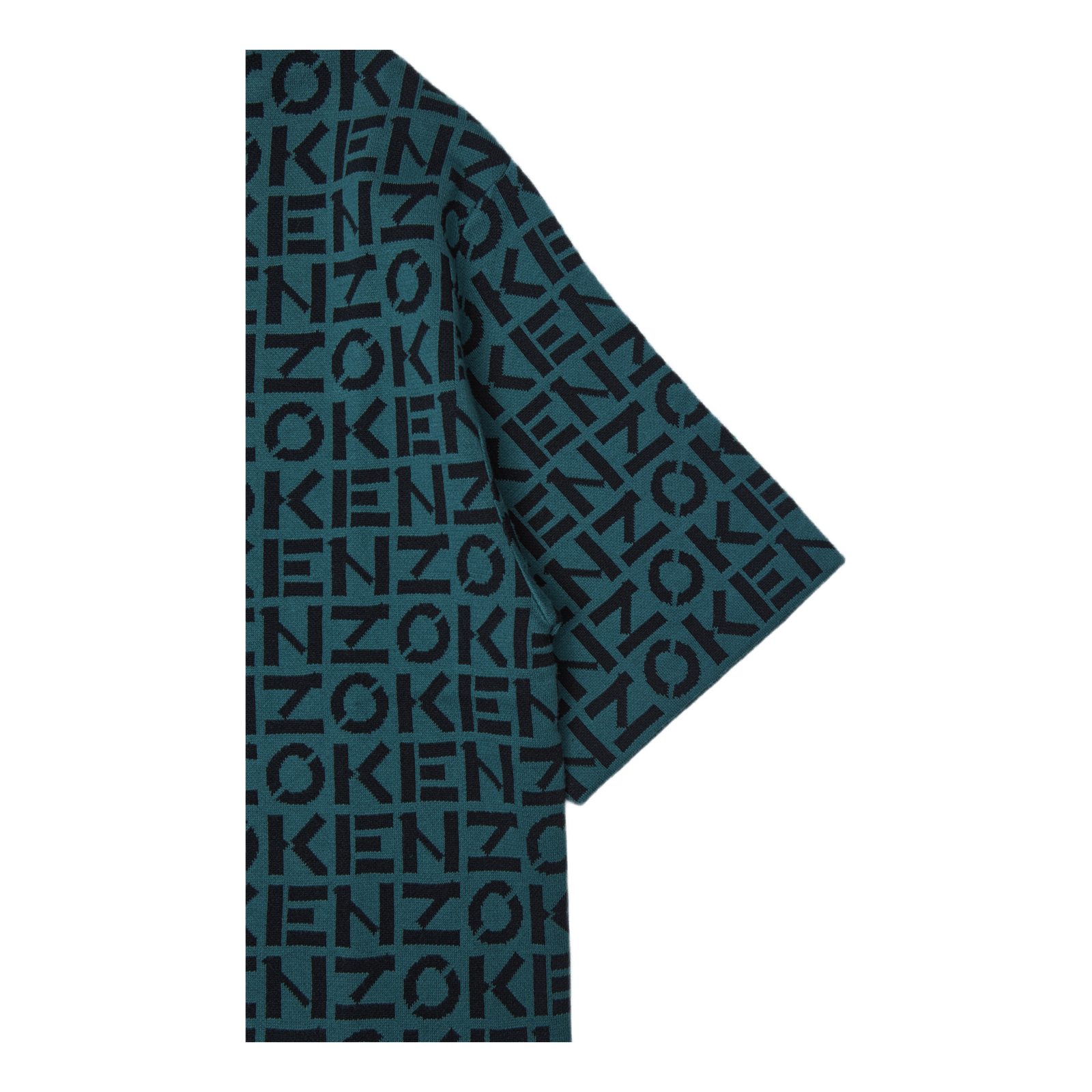 Monogram Oversize T-shirt Fern