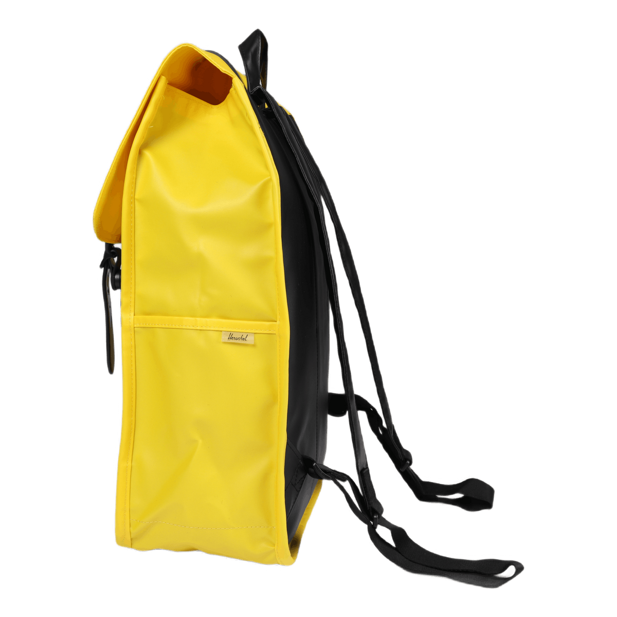 Survey Ii Cyber Yellow