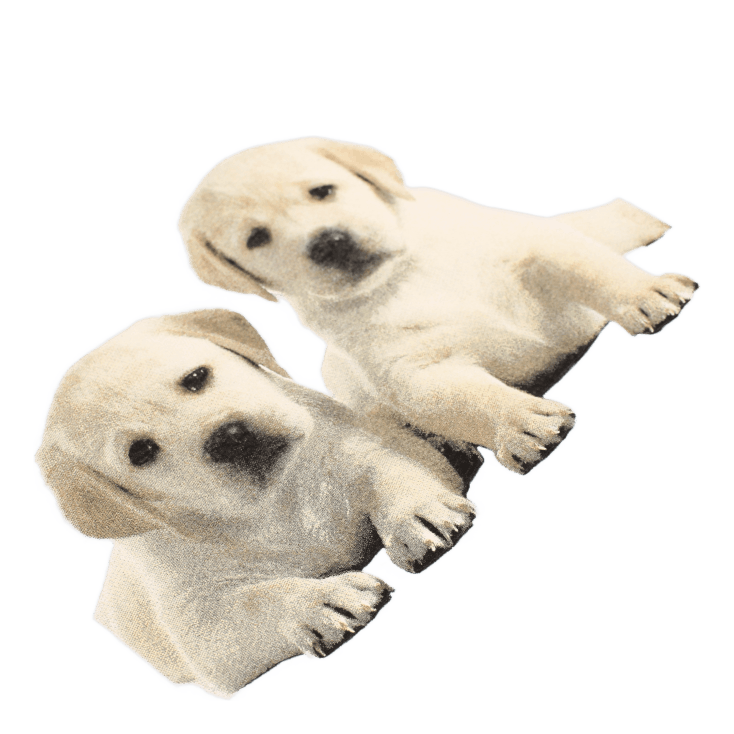 Puppies Tee Powder Blue