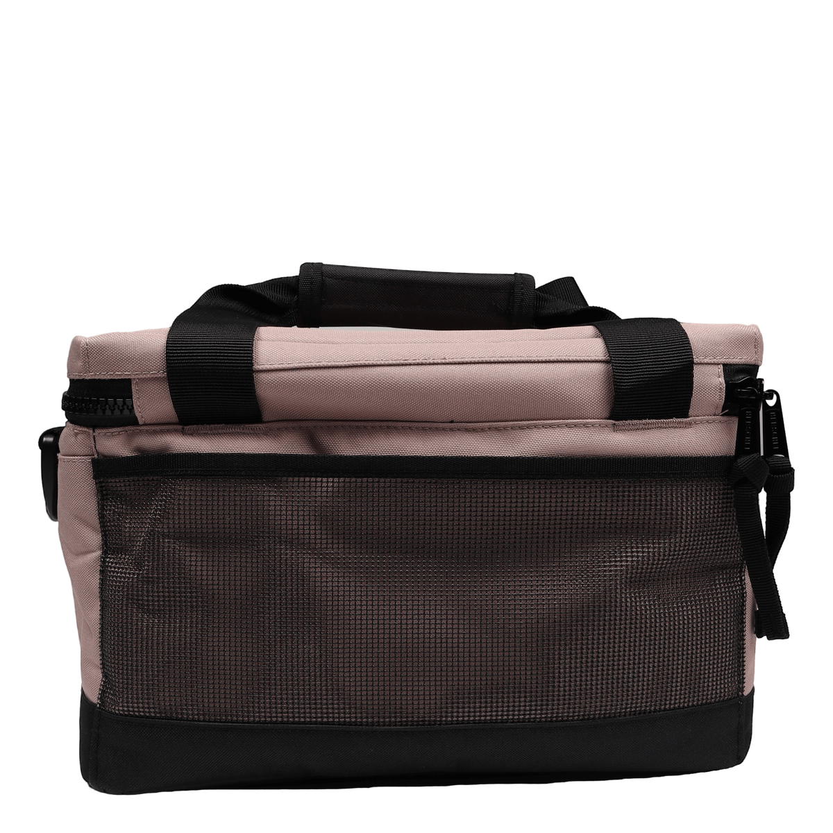 Pop Quiz Cooler 12 Pack Insulated Ash Rose