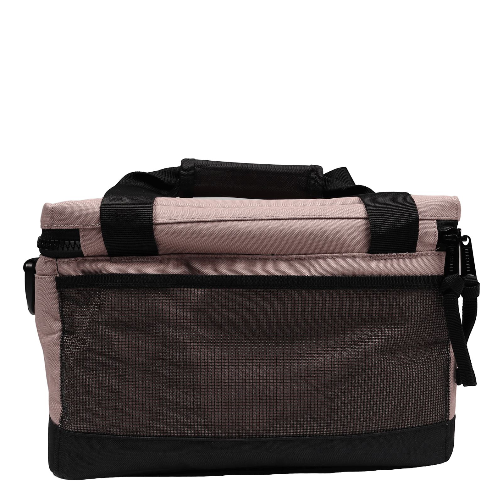 Pop Quiz Cooler 12 Pack Insulated Ash Rose