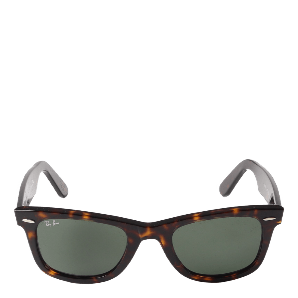 Wayfarer Tortoise 902/50