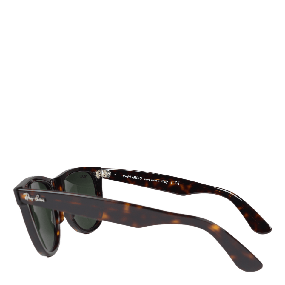 Wayfarer Tortoise 902/54