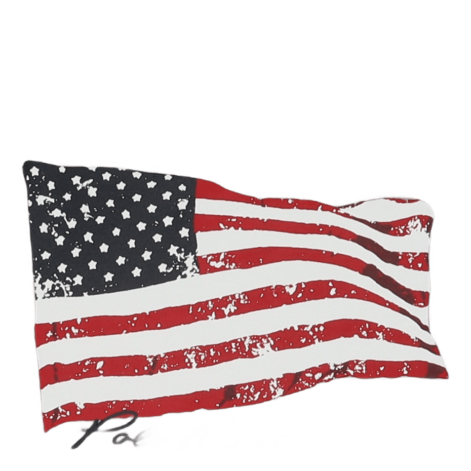 Classic Fit American Flag T-Shirt Andover Heather