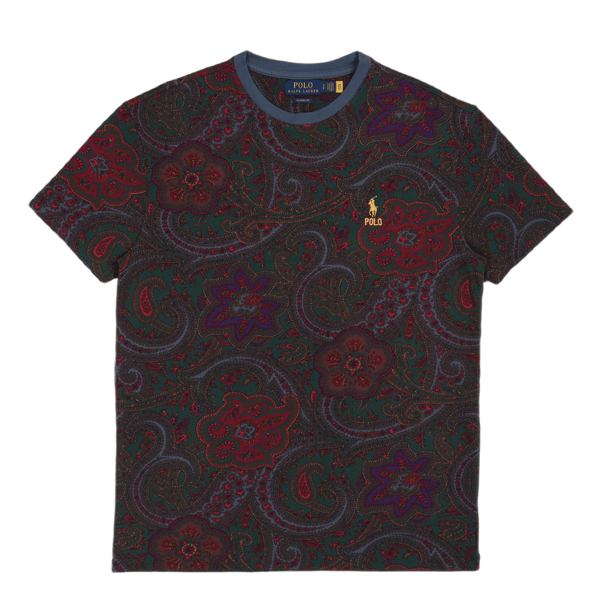 Classic Fit Paisley Mesh T-Shirt Paisley Print