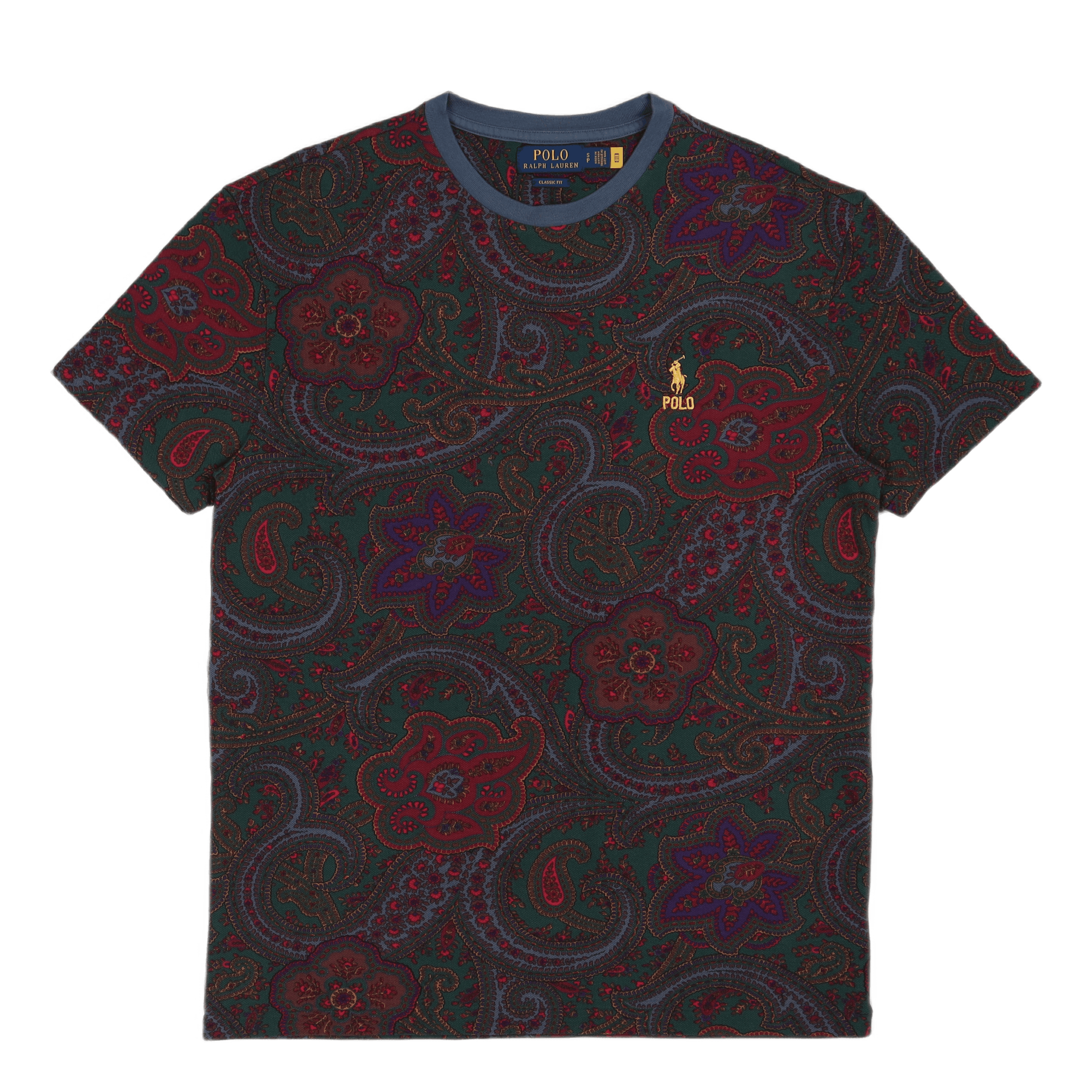 Classic Fit Paisley Mesh T-Shirt Paisley Print