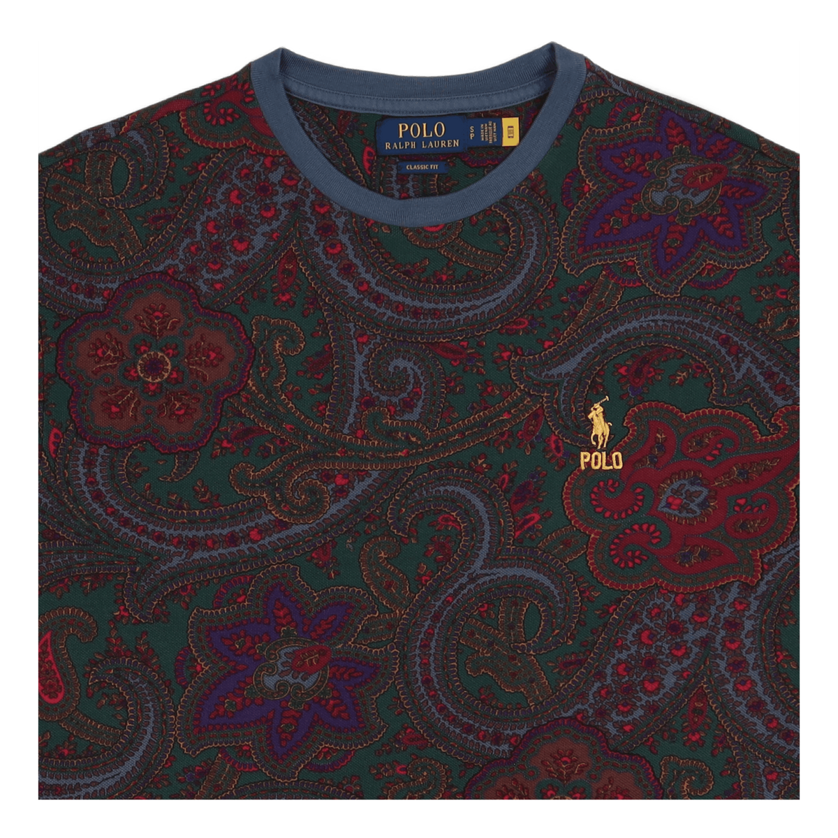 Classic Fit Paisley Mesh T-Shirt Paisley Print