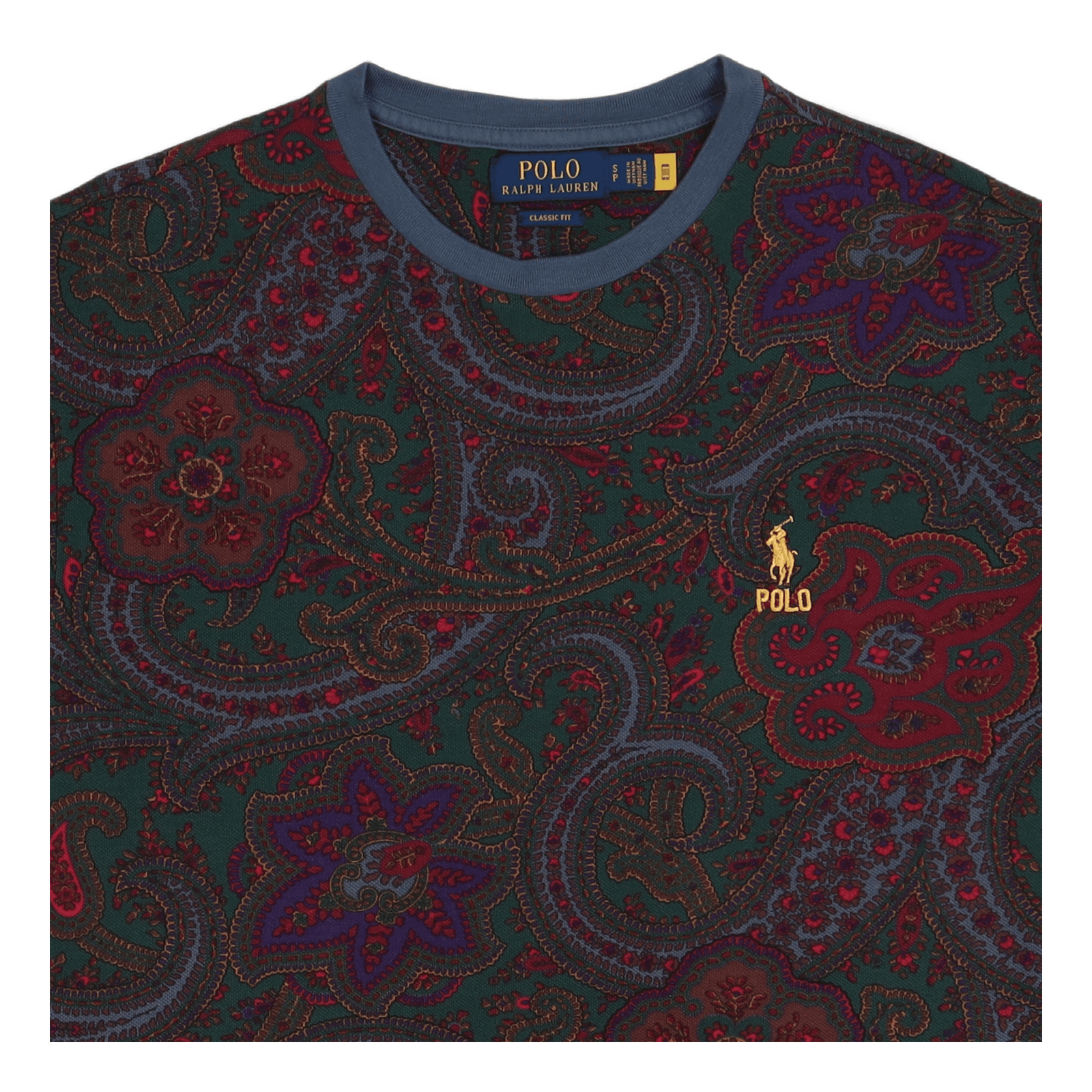 Classic Fit Paisley Mesh T-Shirt Paisley Print