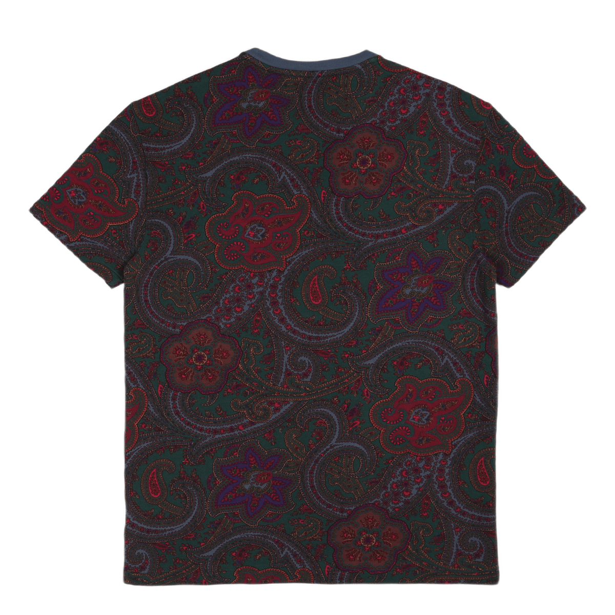 Classic Fit Paisley Mesh T-Shirt Paisley Print