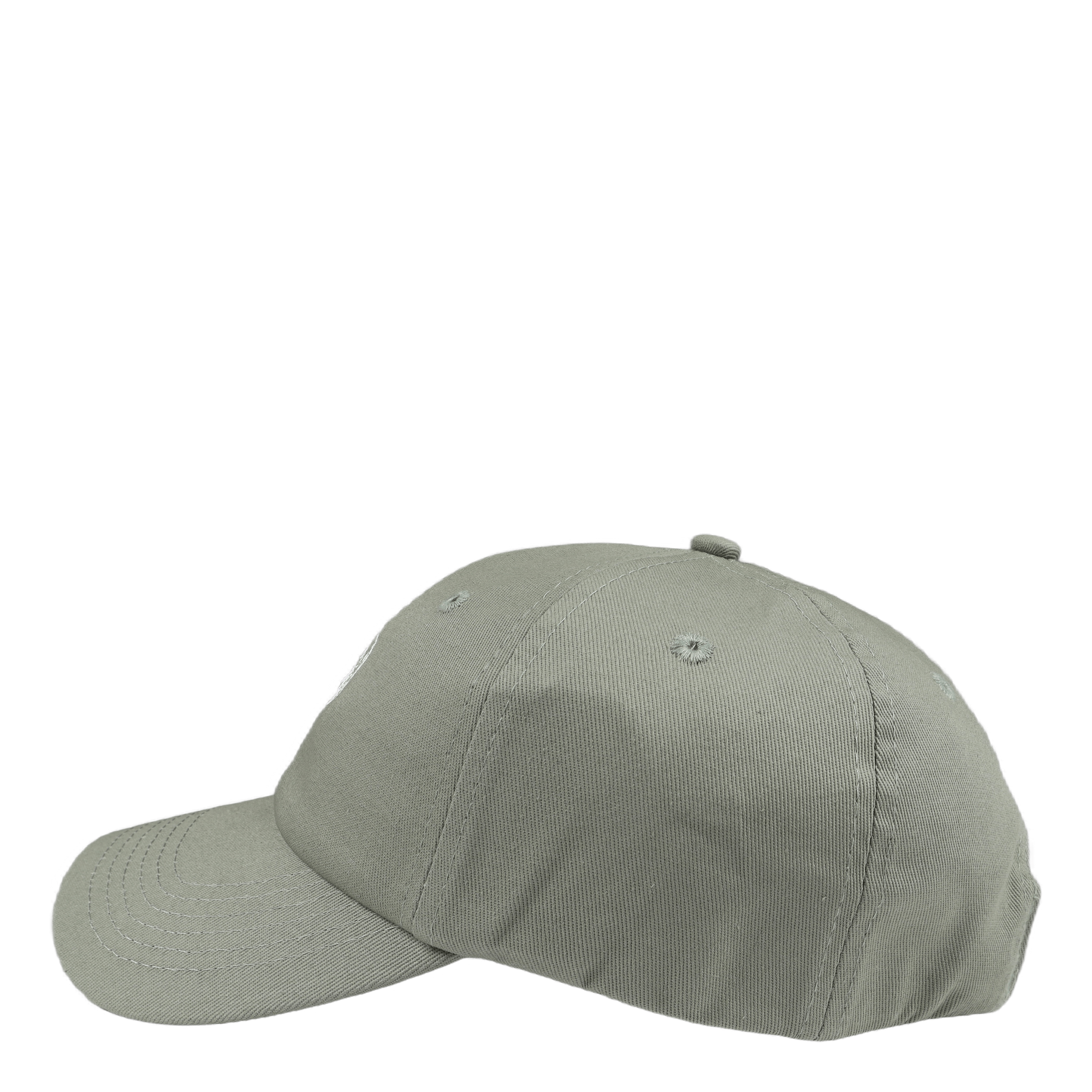 Astro Embroidered Curved Visor Sage Green