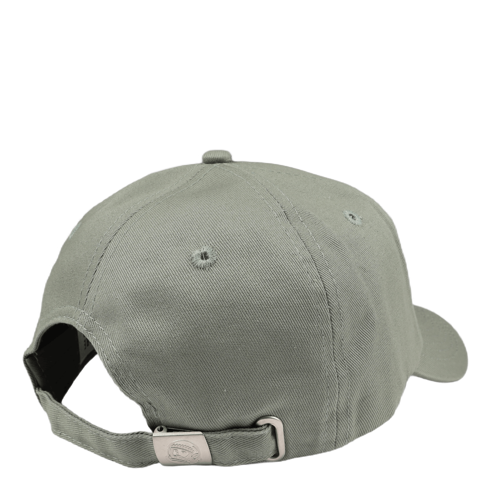 Astro Embroidered Curved Visor Sage Green