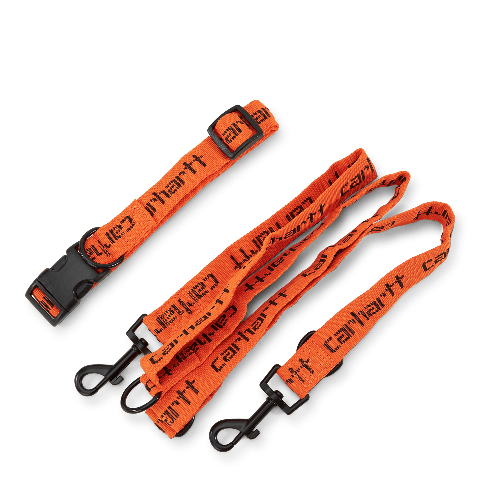 Script Dog Leash & Collar Carhartt Orange / Black