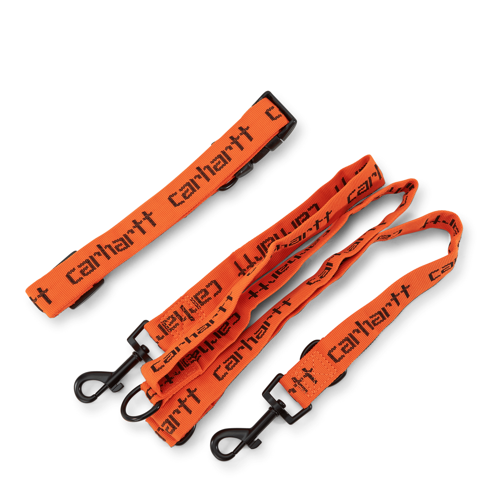 Script Dog Leash & Collar Carhartt Orange / Black