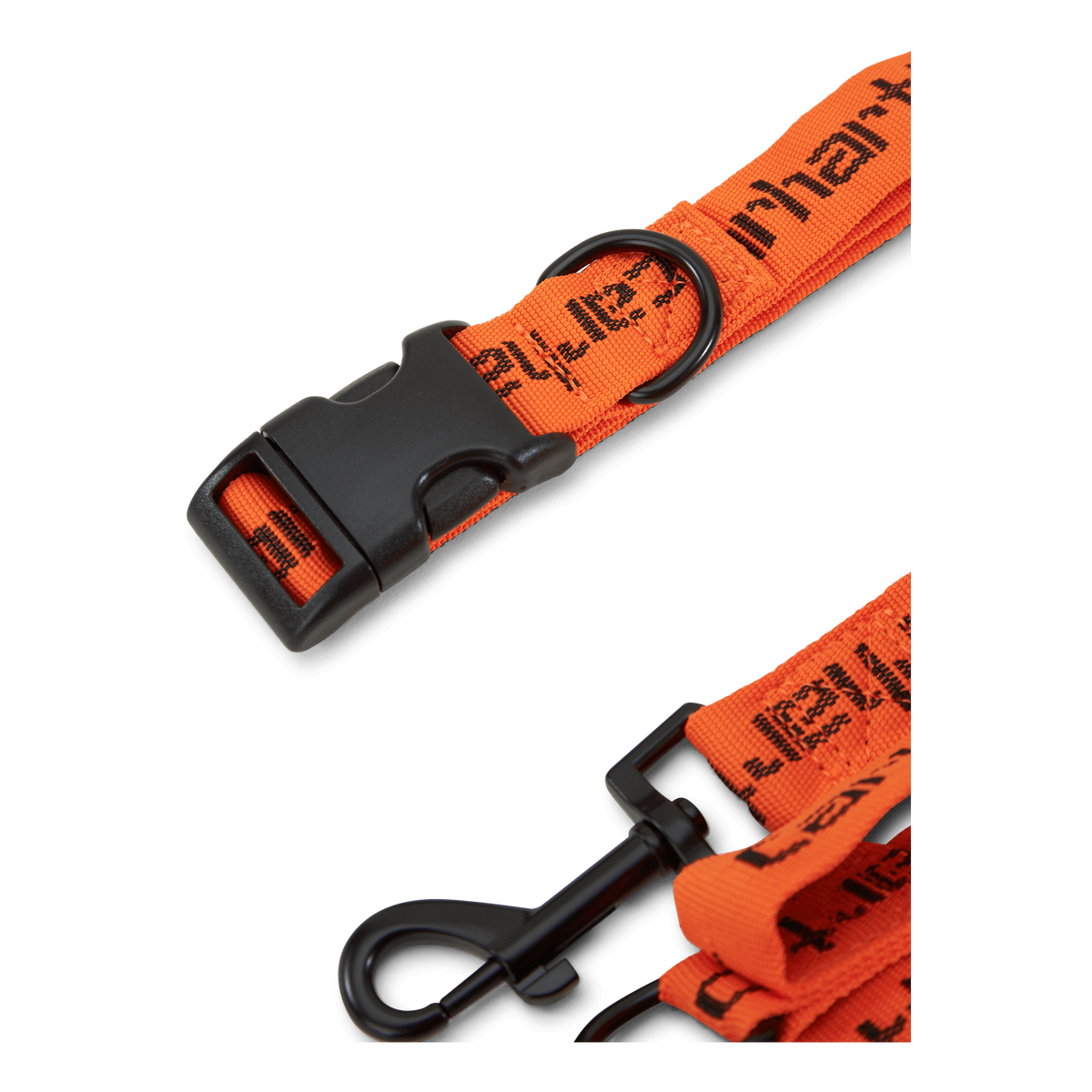 Script Dog Leash & Collar Carhartt Orange / Black